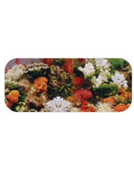 Jalux sfondo per acquari motivo J01 al metro