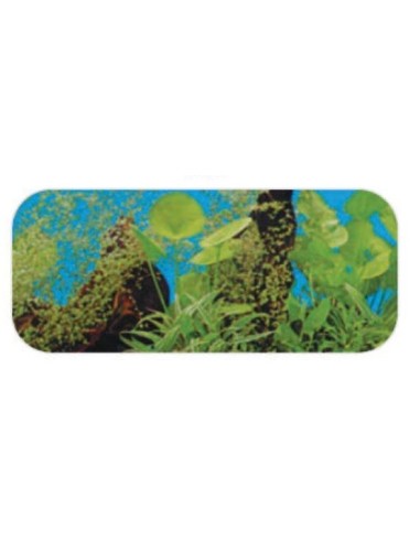 Jalux sfondo per acquari motivo J01 al metro