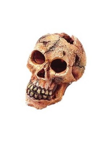 Mantovani Dekor teschio piccolo cm 11