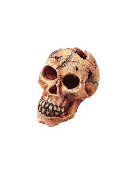 Mantovani Dekor teschio piccolo cm 11