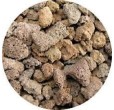 Negozio online vendita prodotti Pet, acquari e ViVo Tropicale