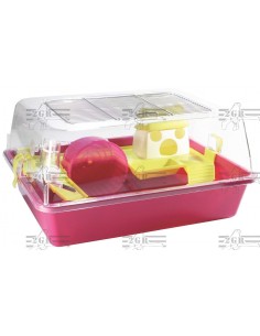 2gr gabbia criceti maisonette baby vari colori