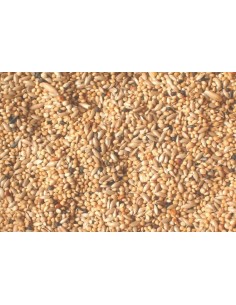 Naturella miscela esotici 1 kg