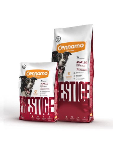 Cennamo Prestige cani adult maintenace medium...