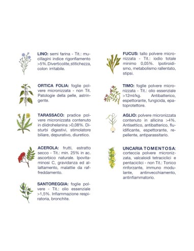 Vet Line less dry adulti taglia piccola mini...