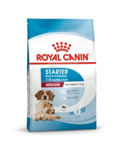 Royal Canin starter mother & babydog  cani medium 4 kg