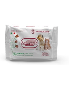 Digma salviette biodegradabili XXL antiodore 100 pz