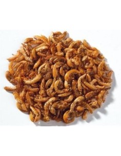 Ottavi gammarus tartarughe 100 ml