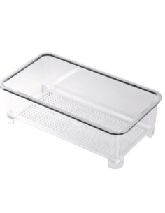 Mangiatoia trasparente astra