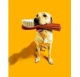 Negozio online vendita prodotti per l'igene dei cani e gatti