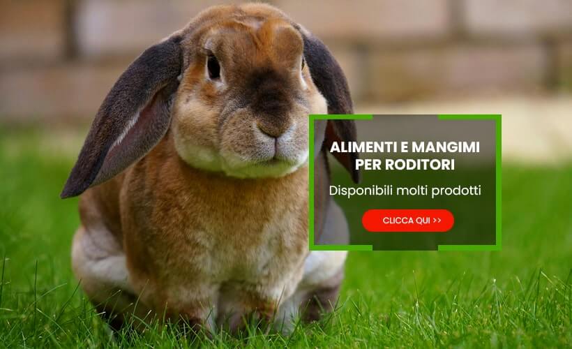Alimenti mangimi per Roditori
